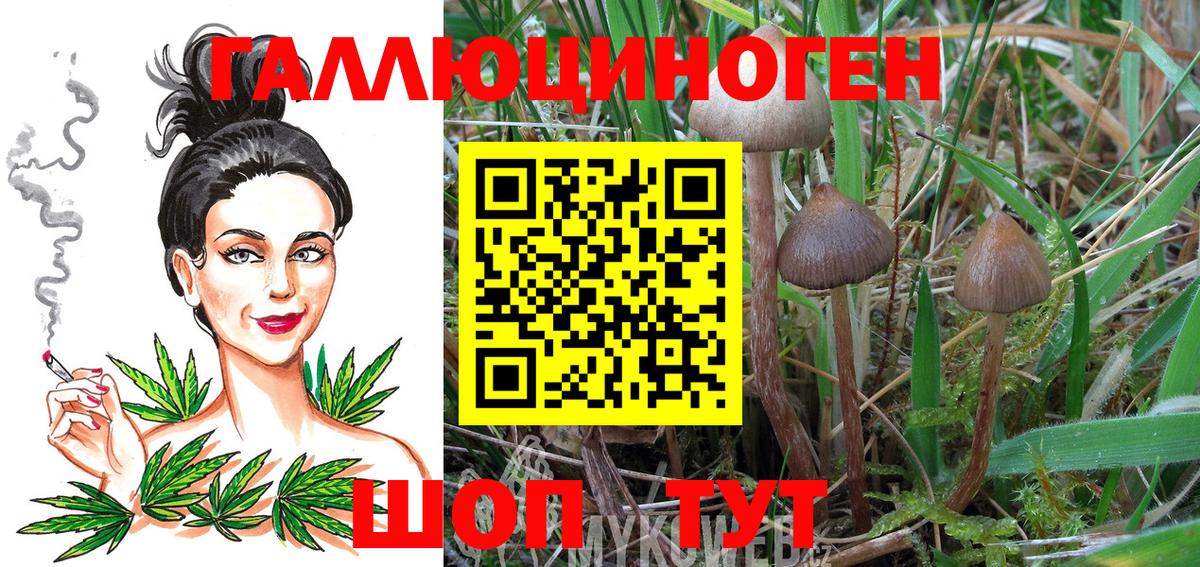 Бутурлиновка  Галлюциногенные грибы GOLDEN TEACHER  Вход с VPN 